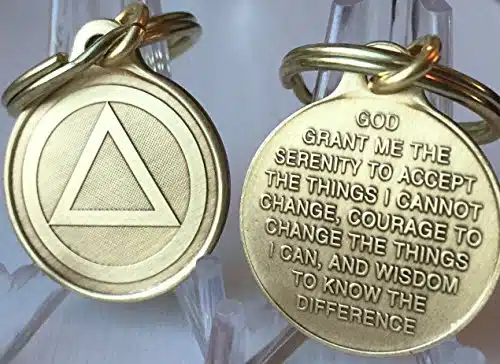 Circle Triangle AA Key Chain Bronze Alcoholics Anonymous Key Tag Charm